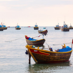 Thẻ vàng EU với thủy sản Việt Nam cần sự quyết liệt hơn nữa